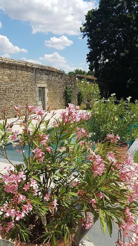 Gasthaus L'Annexe Du Plessis Bochard Saint-Pierre-des-Nids Exterior foto